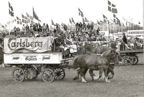 Carlsberg repræsenteret ved Herning Ungskue