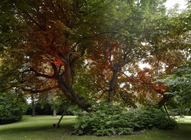 AnnLislegaard, U-Turn